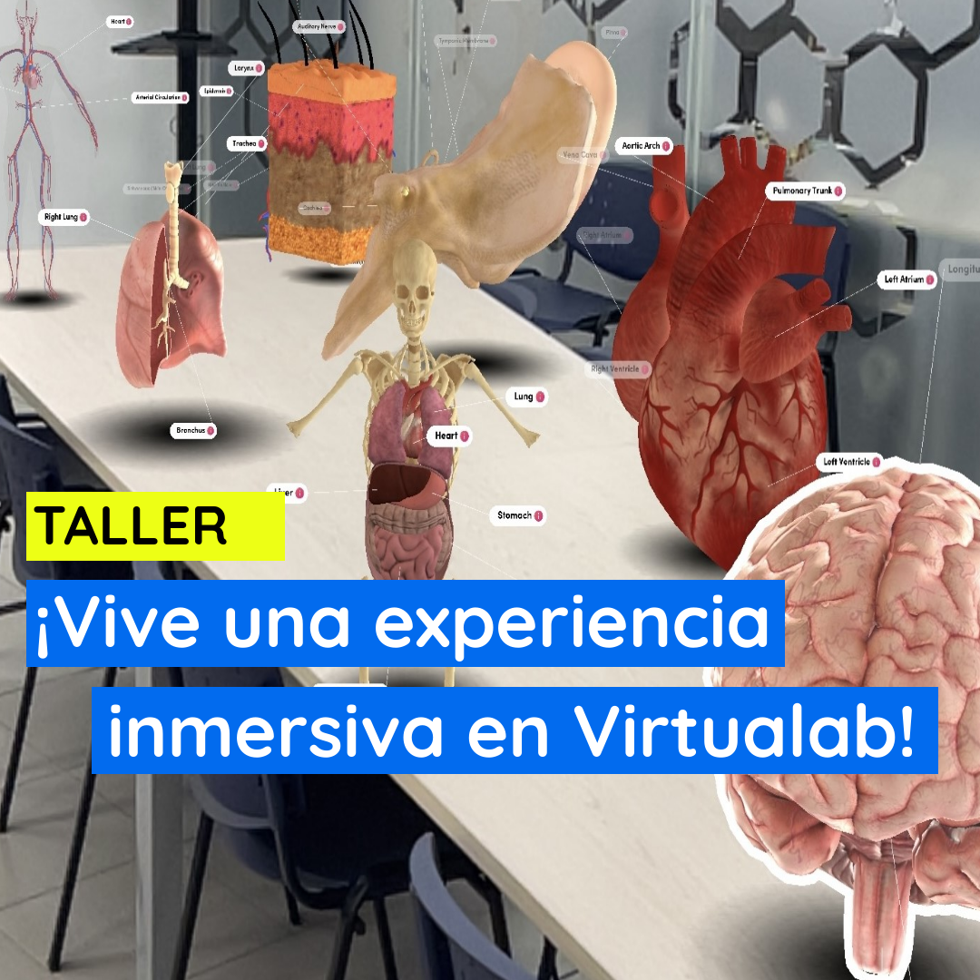 48-virtualab-vi_59278797