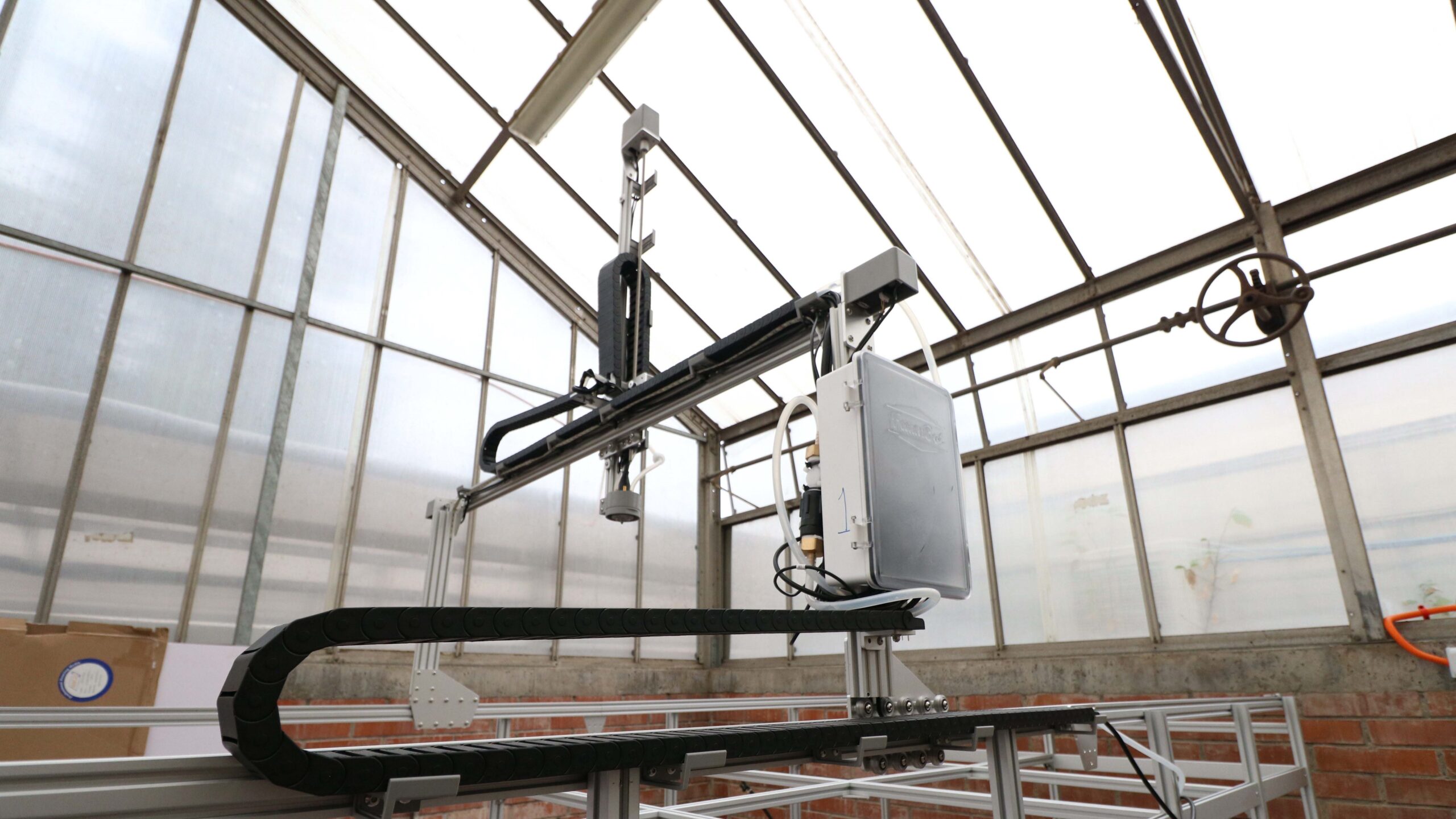 Foto 1 Yordi Norerov2