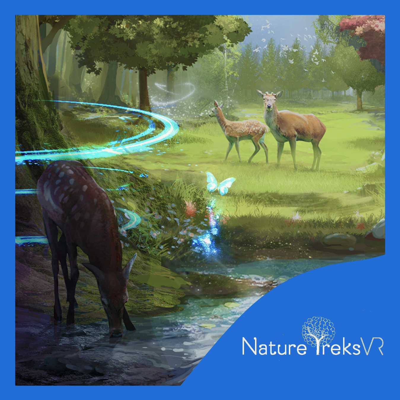 Fotografía Nature Treks