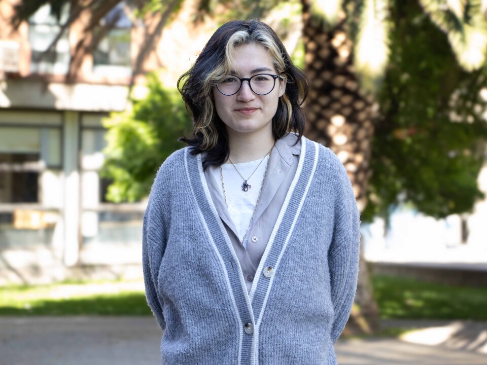 Uso para página web